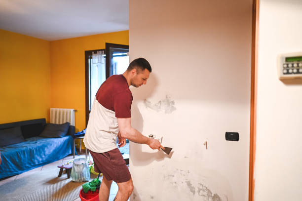 Attic Mold Removal in Bear Creek, AL